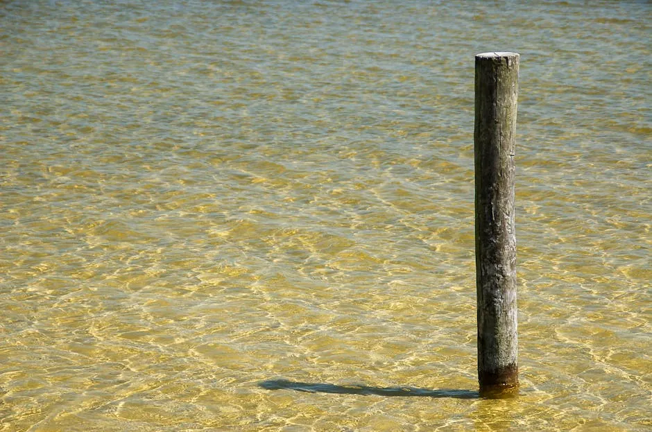 Posts